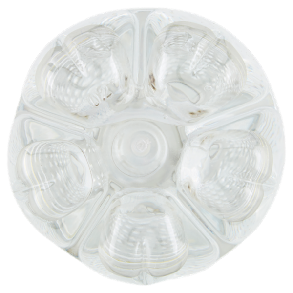 Goccia di Carnia Acqua Minerale Naturale Oligominerale Naturale PET 1 L