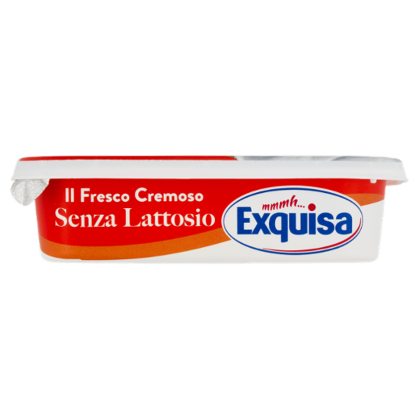 Exquisa il Fresco Cremoso Senza Lattosio 175 g
