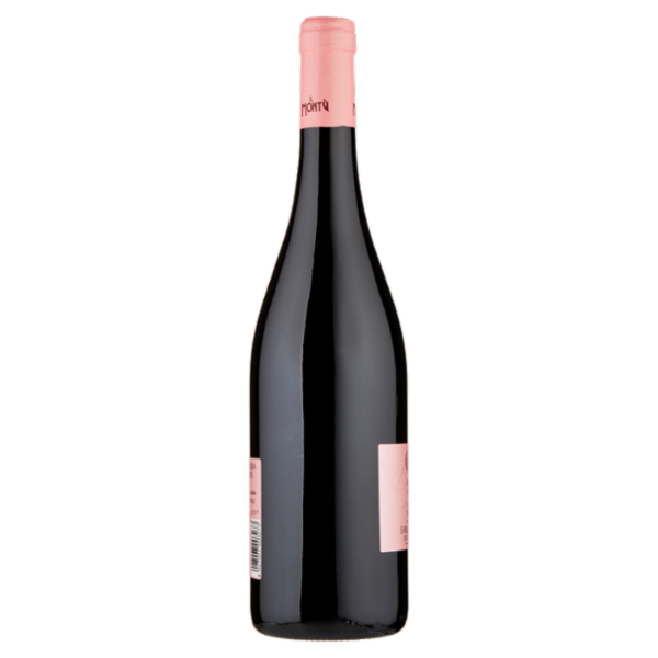 Cantina Storica il Montù Sangue di Giuda dell'Oltrepò Pavese DOC Dolce Frizzante 75 cl