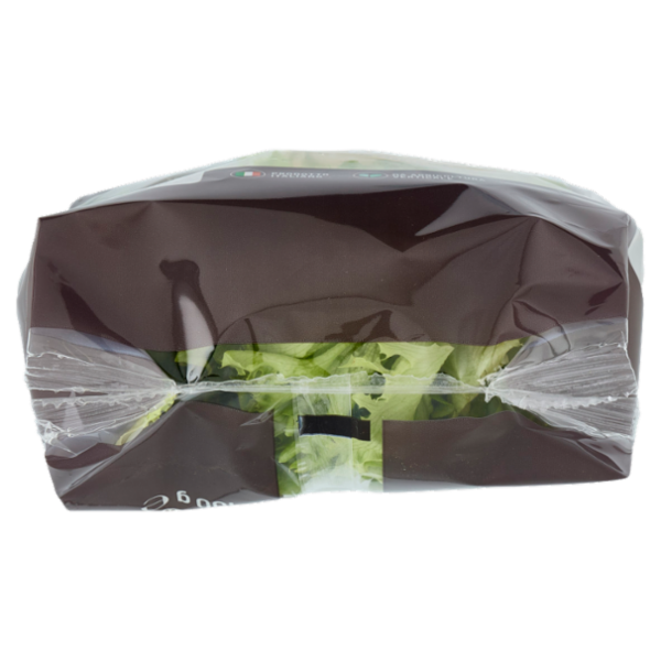 Selex Saper di Sapori Lattughino Biondo Lavato e Pronto per il Consumo 100 g