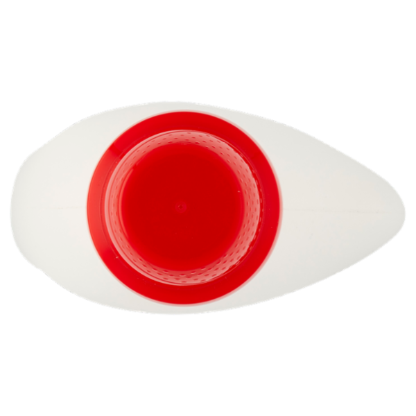 DIXAN Liquido Pulito & Igiene 22 Lavaggi 990 ml