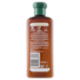Herbal Essences Idrata profumo di cocco Shampoo 250 ml