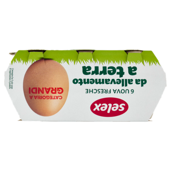 Selex 6 Uova Fresche Grandi da Allevamento a Terra Categoria A