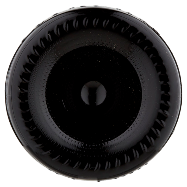 Terredavino Freisa d'Asti DOC Vino Frizzante 75 cl