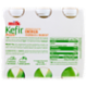 Milk Kefir Plus Energia Pappa Reale 6 x 100 g