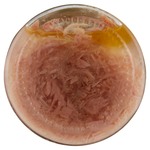 Mareblu Leggeri Filetti di Tonno in Acqua con un Filo d'Olio Extra Vergine di Oliva 180 g