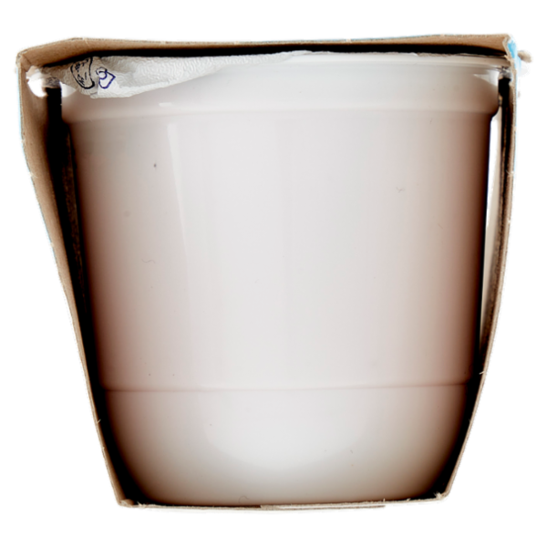 Centrale del Latte di Roma elleDì Yogurt Alta Digeribilità Senza Lattosio* Fragola 2 x 125 g