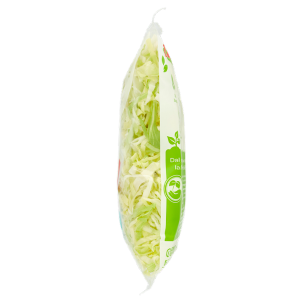 DimmidiSì ... alla maxi insalata Iceberg julienne 500 g