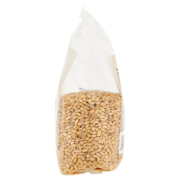 Consilia Cereali Secchi Orzo Perlato Biologico 300 g