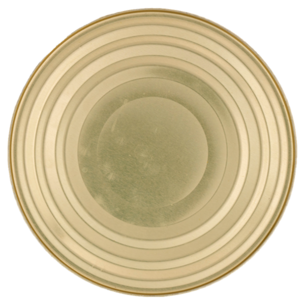 Sù Fagiolini Fini 2600 g