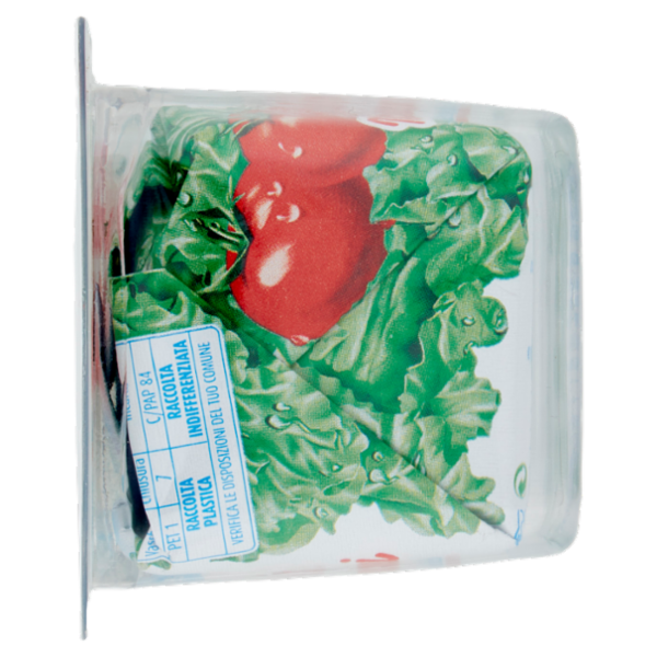 Nonno Nanni Robiola 2 x 100 g