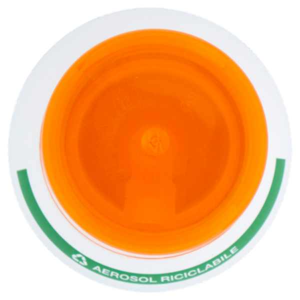 Garnier Ambre Solaire Advanced Sensitive Adulti Mist Ceramide Protect 150 ml