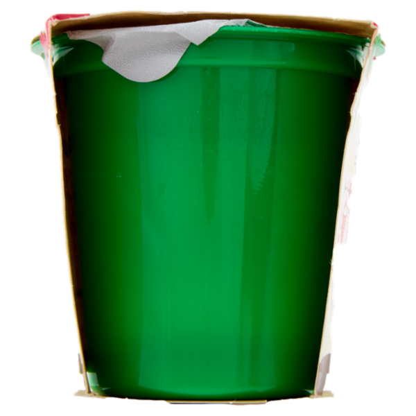 Soia Lovers Bianco Dolce 2 x 125 g