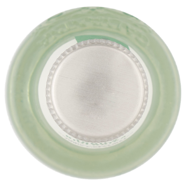 Galvanina Tonica Biologica 355 ml