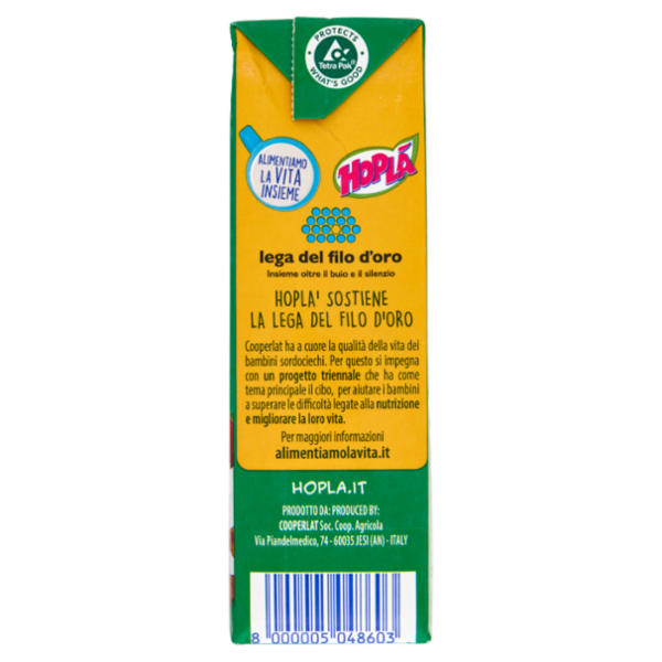 Hoplà da Montare 500 ml