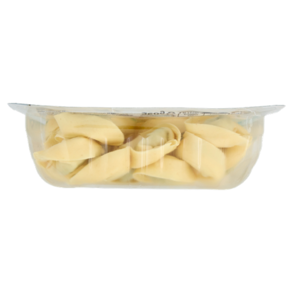 Consilia Tortelloni alla Ricotta e Spinaci con Grana Padano D.O.P. 250 g