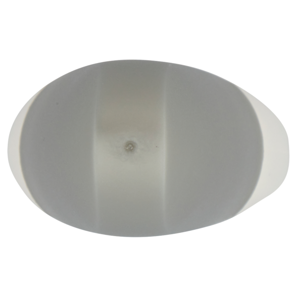 Dove invisibledry clean touch Vapo No Gas 75 ml