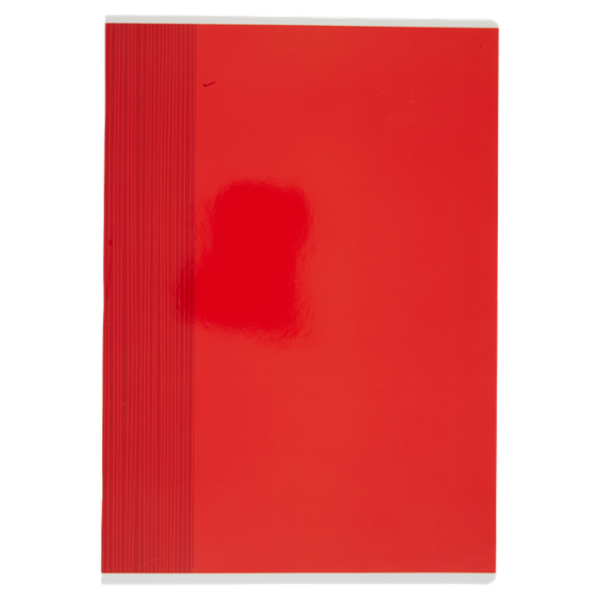 Selex Quaderno Maxi Formato A4 Fogli 40 0B