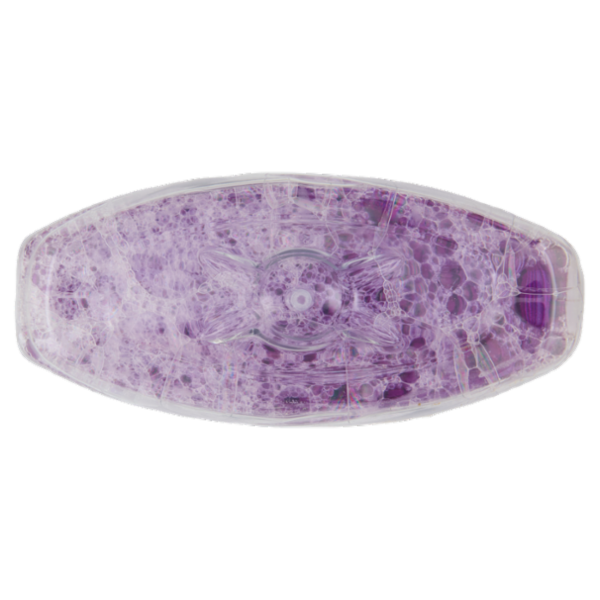 Ace Pavimenti Igienizzante Lavanda e oli essenziali Senza Candeggina 1 L