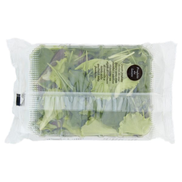 Insal'Arte Misticanza 100 g