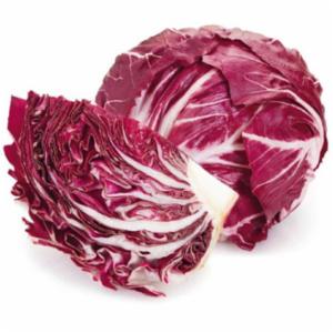 Radicchio Tondo
