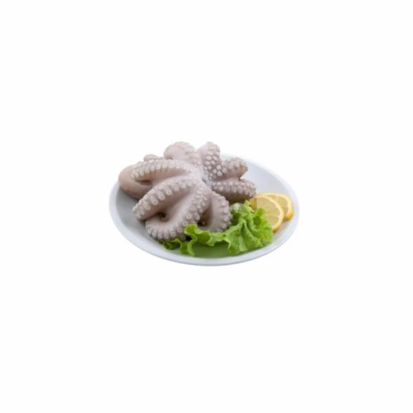 Polpo 800/1200