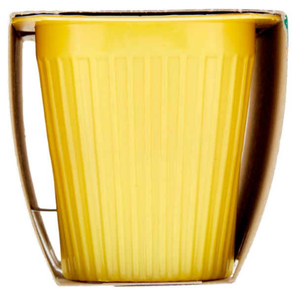 treValli i Dessert al Latte Budino crème Caramel 2 x 100 g