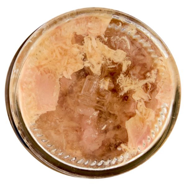 Consorcio Filetti di Tonno in Olio d'Oliva 174 g