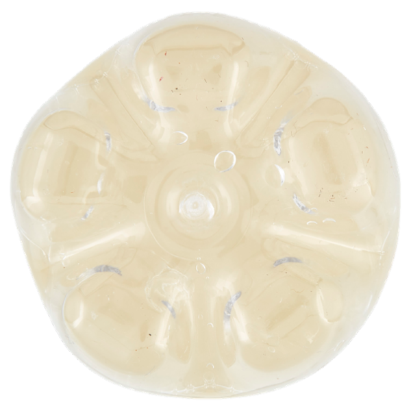 Schweppes Ginger Beer PET 0,5 L