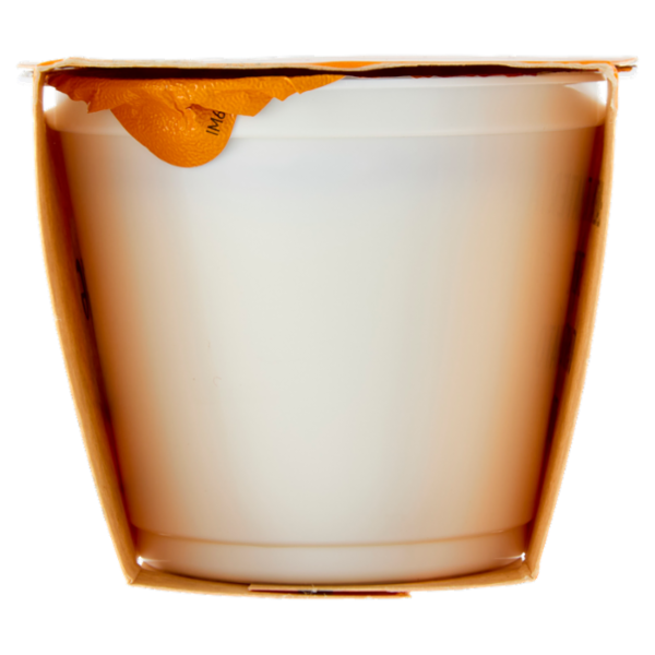 Fattoria Scaldasole Bianco Magro yogurt biologico 2 x 115 g