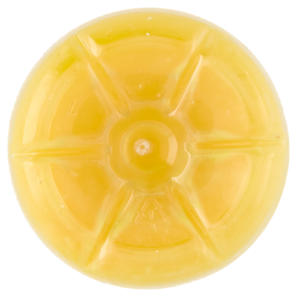 Fattoria Scaldasole Arancia Bionda spremuta biologica 750 ml