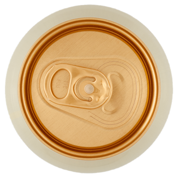 Kirin Ichiban 500 ml