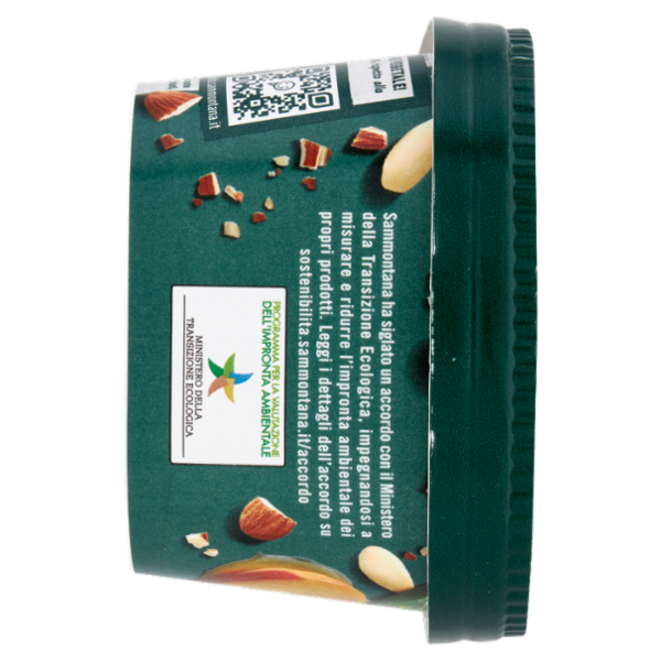 Sammontana Amando Gelato alla Vaniglia variegato alla Pesca 400 g