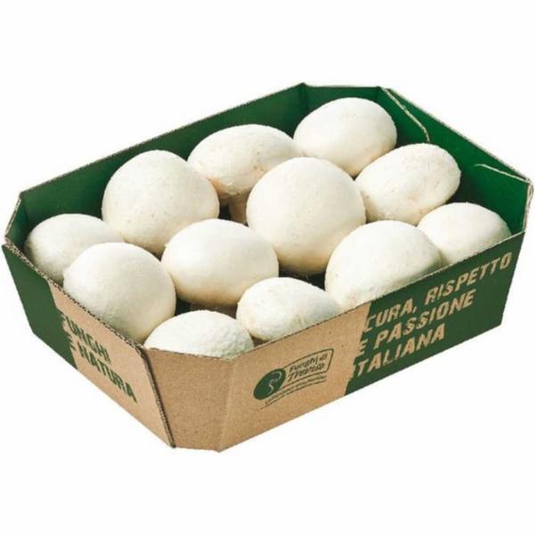 Funghi Champignon Gr.400
