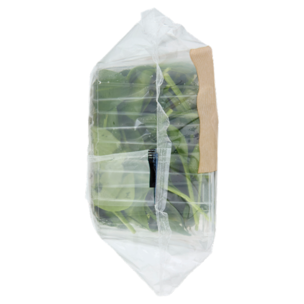 Bonduelle Spinacino 110 g