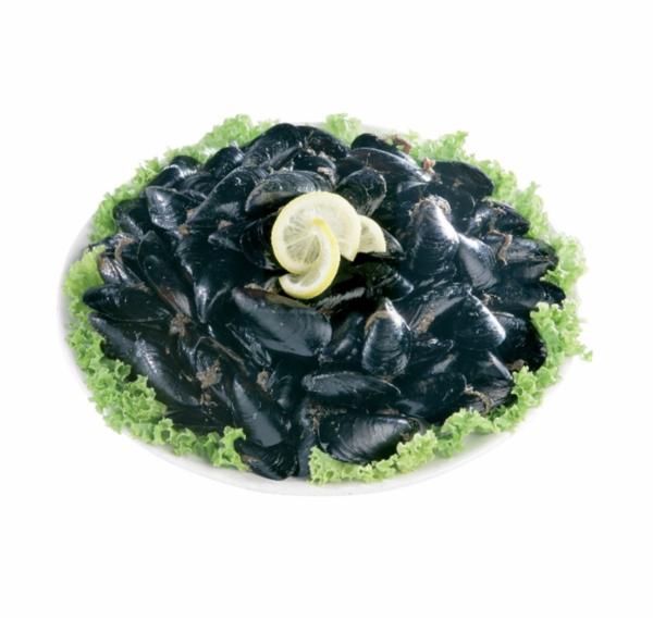 Cozze Sardegna