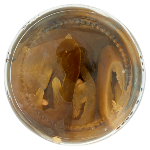 Don Enrico México Green Jalapeño Chillies 190 g