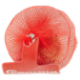 Consilia Saper Scegliere Aglio Rosso 100 g