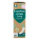 Carefree 100% Organic Cotton Topsheet Long Salvaslip 24 pz