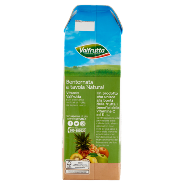 Valfrutta Vitamix 1500 ml
