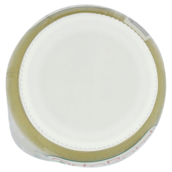 OrtoRomi Estratto di Avocado spinacio, pera e mela 250 ml