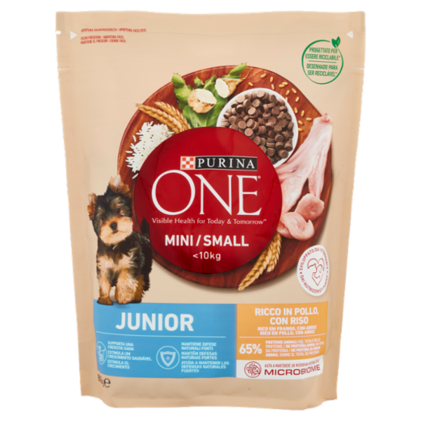 PURINA ONE Mini/Small Junior Ricco in Pollo con Riso 800g