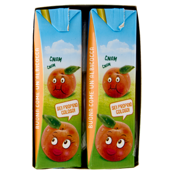 Valfrutta Albicocca Italiana Succo e polpa di frutta 6 x 200 ml
