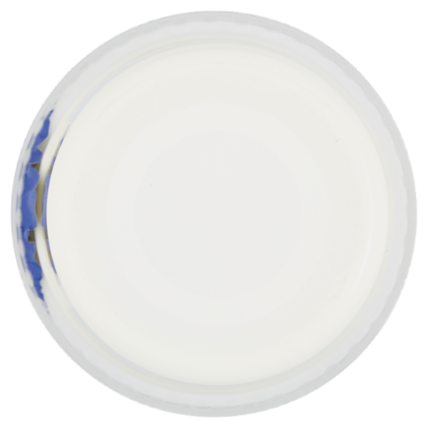 Bianca Bontà Yogurt Intero 500 g