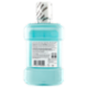 Listerine Cool Mint Gusto Delicato 1 L