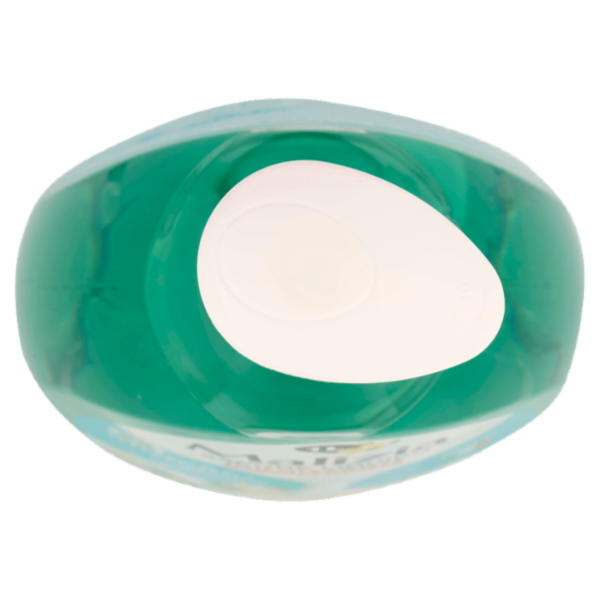 Malizia Sapone Liquido Igienizzante con Antibatterico muschio bianco 1000 mL