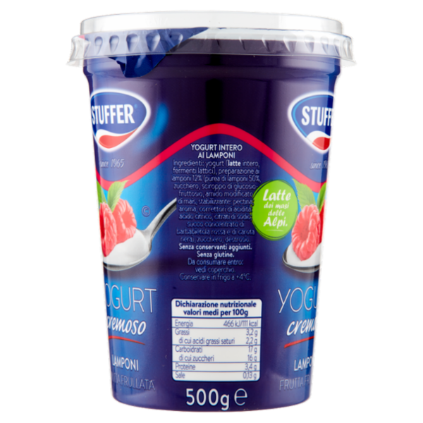 Stuffer Yogurt cremoso Lamponi Frutta Frullata 500 g