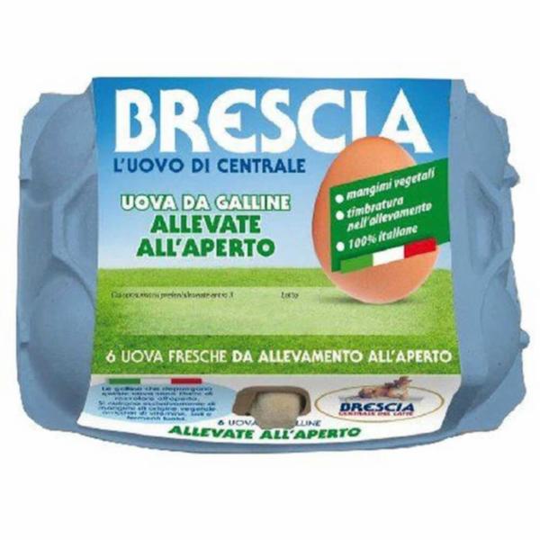Centrale Latte Di Brescia 6 Uova da Galline Allevate all'Aperto