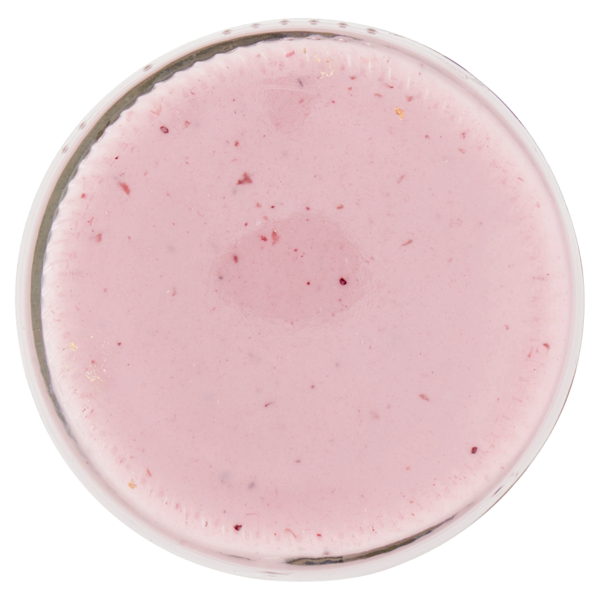 Sterzing Vipiteno bio yogurt da latte fieno mirtilli 150 g