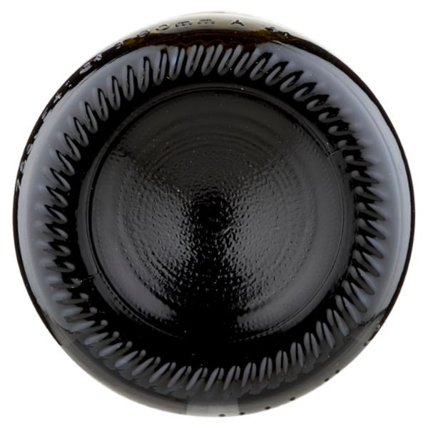 Riunite Lambrusco Emilia IGT Vino Frizzante Secco 75 cl